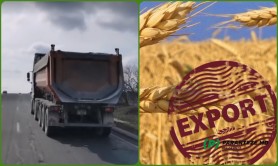 VIDEO // SCANDALOS! Solicitarea Maiei Sandu IGNORATĂ? Grâul continuă să fie cărat în Portul Giurgiulești
